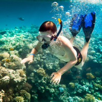 Scuba diving, snorkeling in sea travel in Da Nang